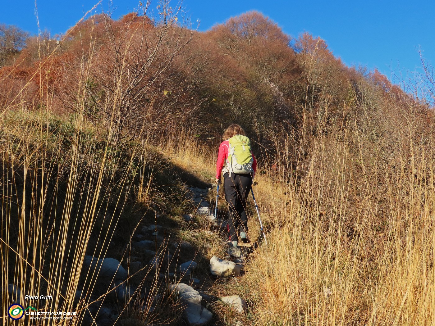 37 Tra alte erbe colorate d'autunno.JPG